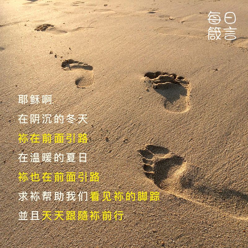 【双语灵修】脚踪 Footprints