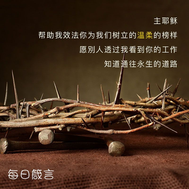 【双语灵修】温柔 Meekness