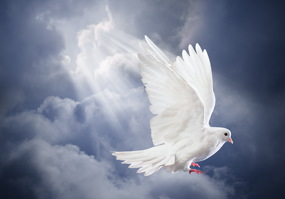 【双语灵修】耶稣升天THE ASCENSION OF JESUS