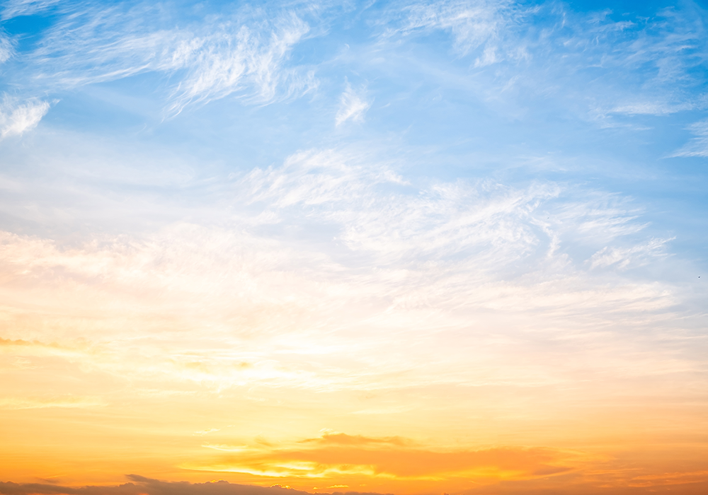 【双语灵修】愿你的旨意成就YOUR WILL BE DONE