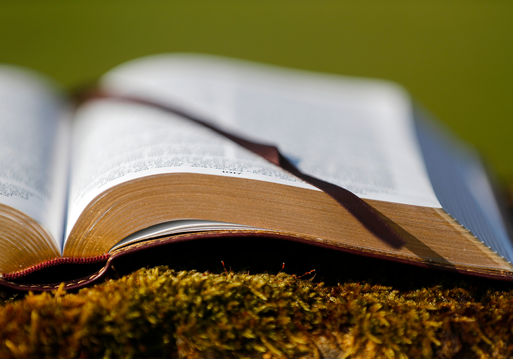 【双语灵修】耶和华的呼召和邀请THE LORD CALLS AND INVITES