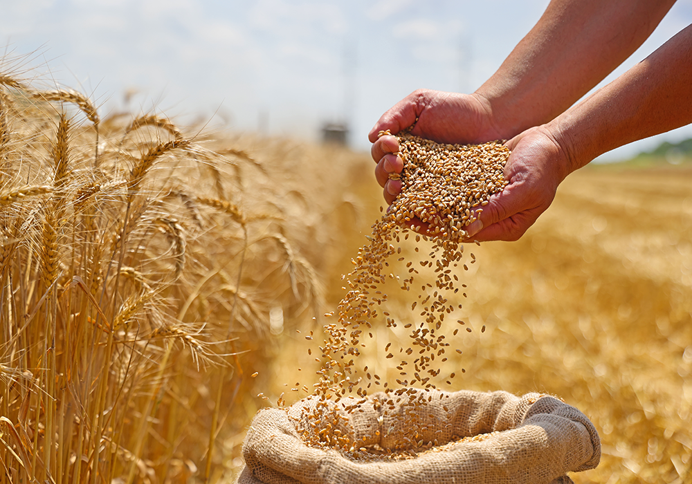 【双语灵修】服从的能力