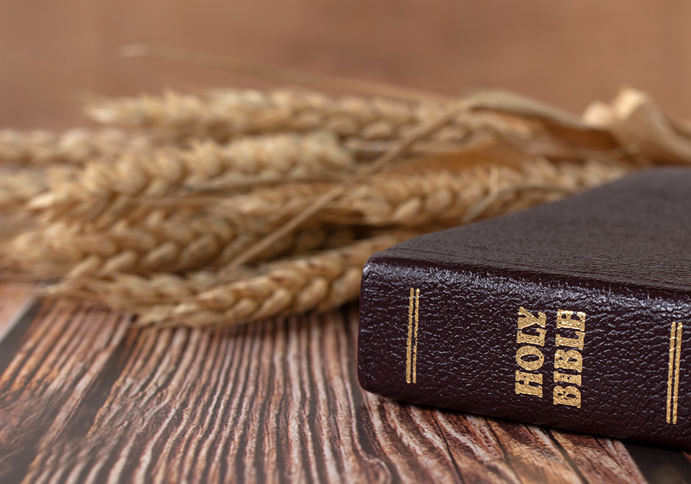 【双语灵修】FOOD THAT SATISFIES令人满足的食物