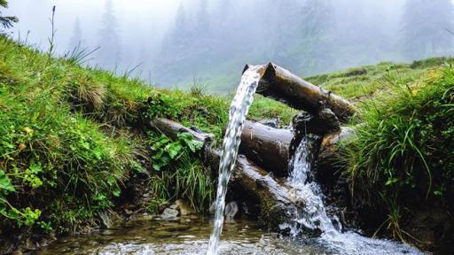 【双语灵修】生命的水 Water Of Life