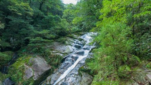 【双语灵修】基立溪旁Kerith Ravine