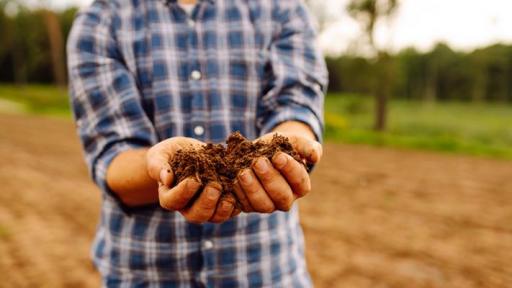 【双语灵修】神是撒种者God, the SEED PLANTER