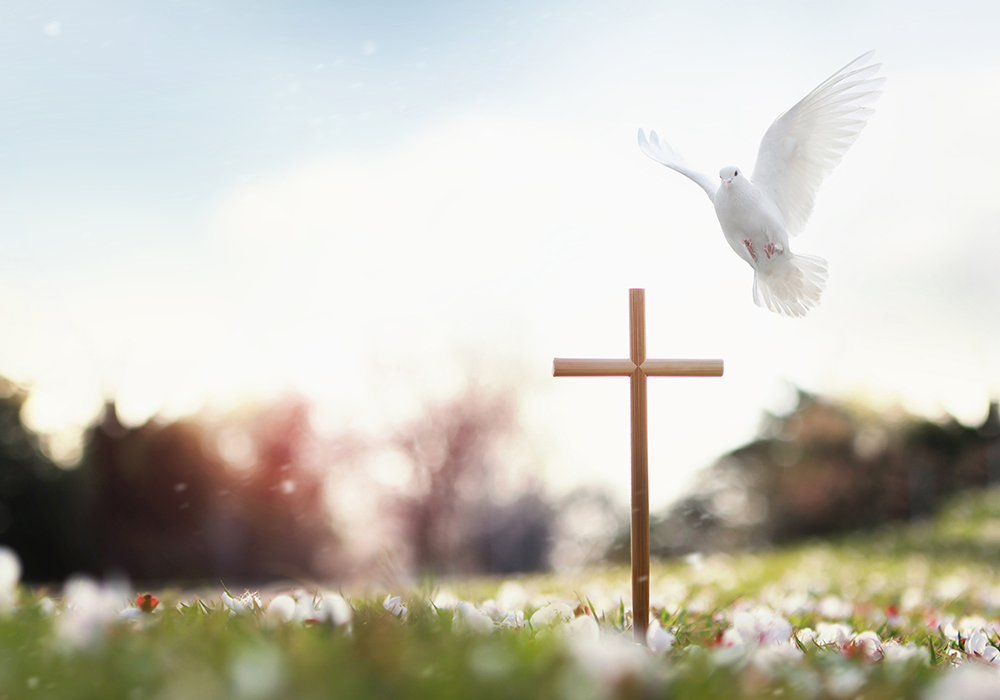 【双语灵修】虚假的圣诞A FALSE CHRISTMAS