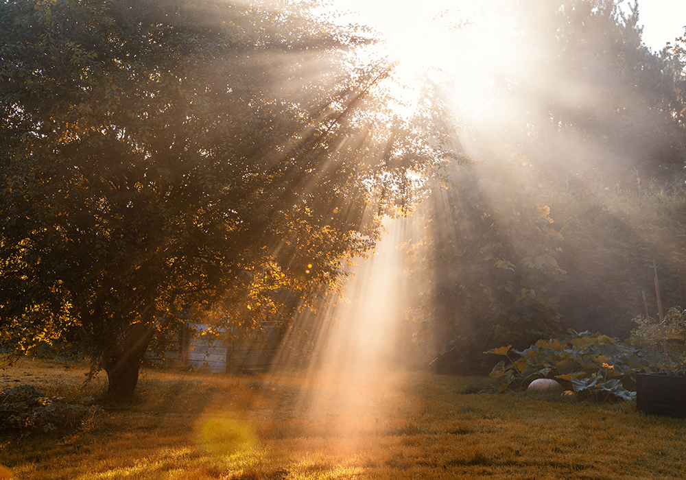 【双语灵修】委身这段旅程COMMITTING TO THE JOURNEY