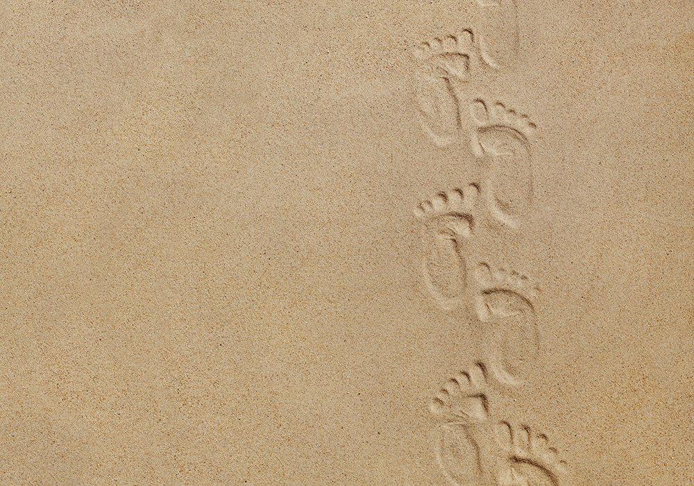 【双语灵修】迈入新生命WALKING IN NEWNESS OF LIFE