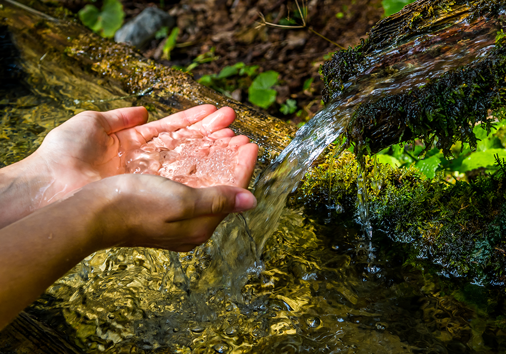 【双语灵修】你们来看COME AND SEE