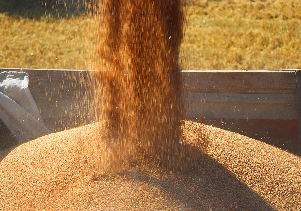 【双语灵修】从囚犯到统治者FROM PRISONER TO RULER