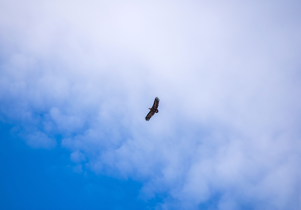 【双语灵修】新的愿景A NEW KIND OF VISION