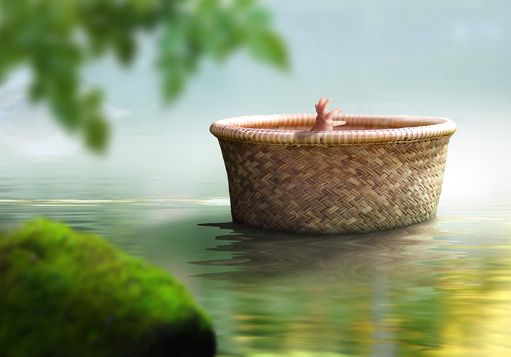 【双语灵修】从河里到皇宫FROM THE RIVER TO THE PALACE