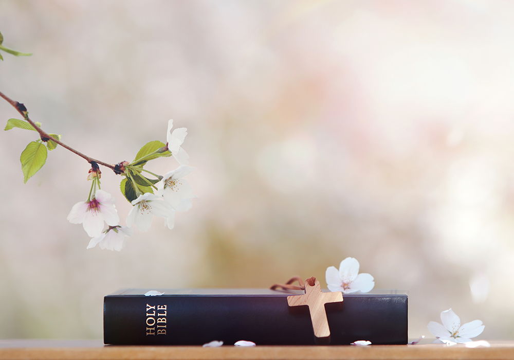 【双语灵修】回顾过去，展望未来LOOKING BACK TO MOVE AHEAD