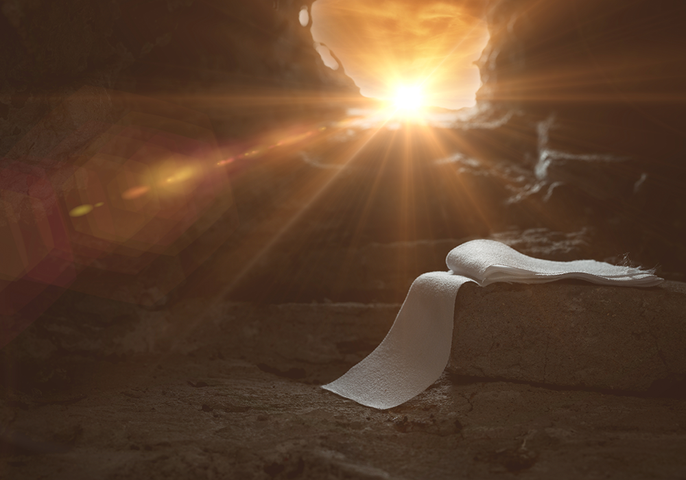 【双语灵修】惊喜！SURPRISE!