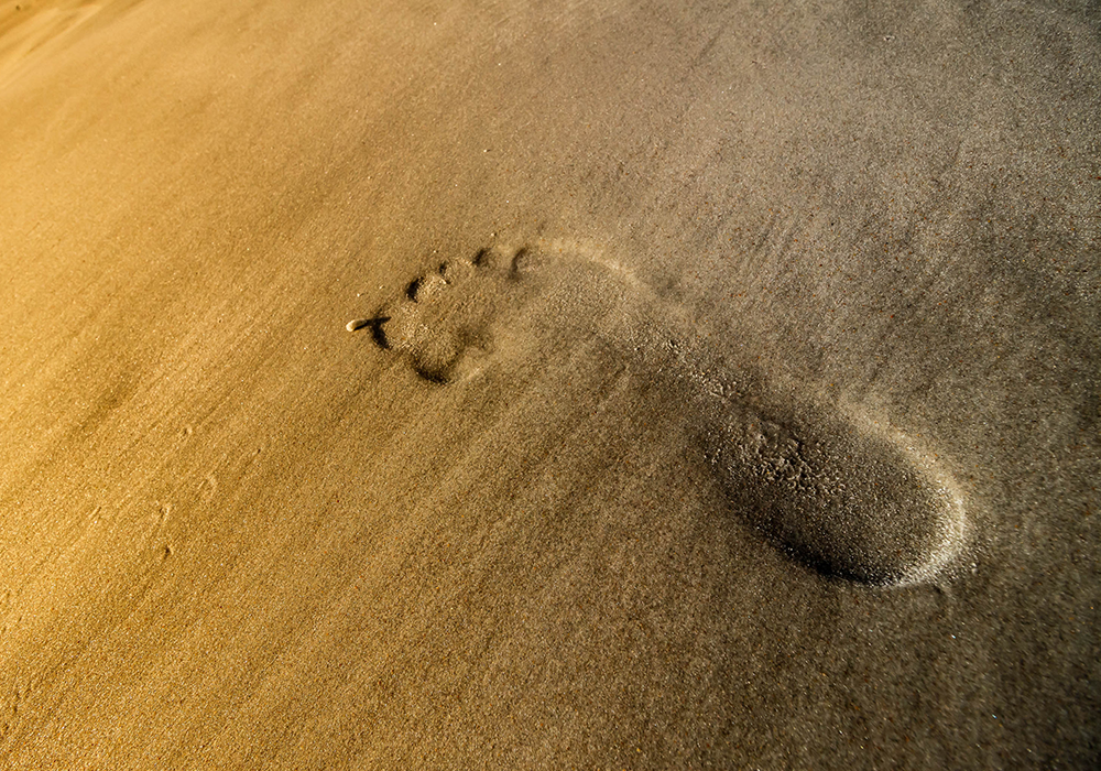 【双语灵修】彼得的新使命PETER’S NEW COMMISSION