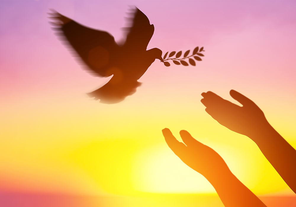 【双语灵修】彼得，新造的人PETER, A NEW CREATION