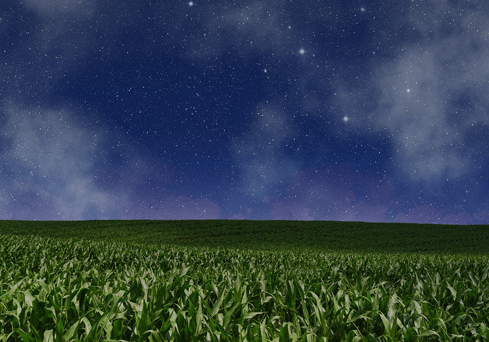 【双语灵修】约瑟的慷慨JOSEPH’S GENEROSITY