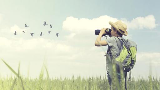 【双语灵修】“看那飞鸟”"Look At The Birds"