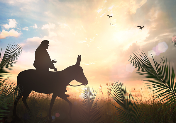 【双语灵修】福音：谦卑的见证GOSPEL: A HUMBLE WITNESS