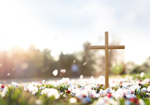 【双语灵修】救赎SALVATION