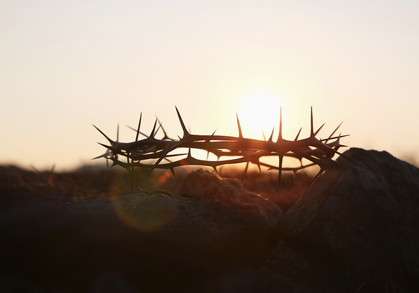 【双语灵修】有人在支持你SOMEONE IN YOUR CORNER