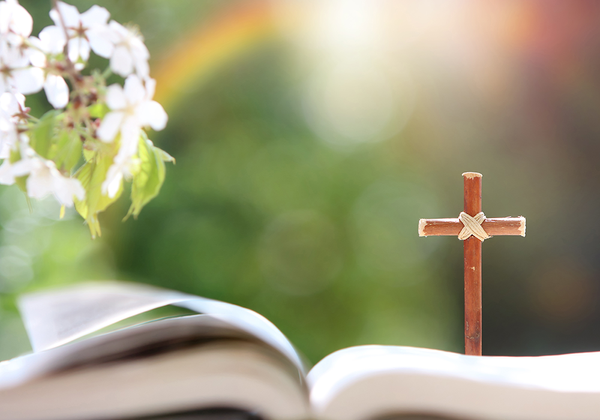 【双语灵修】道成肉身THE WORD BECAME FLESH