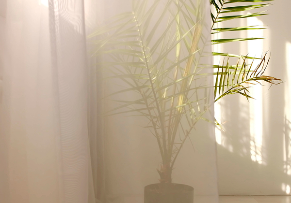 【双语灵修】重新开始的美好THE BEAUTY OF A FRESH START