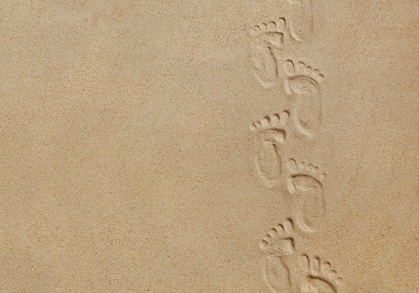 【双语灵修】迈入新生命WALKING IN NEWNESS OF LIFE