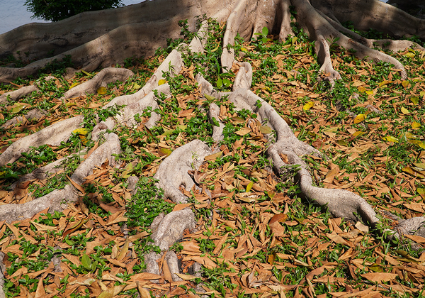 【双语灵修】在基督里的新身份A NEW IDENTITY IN CHRIST