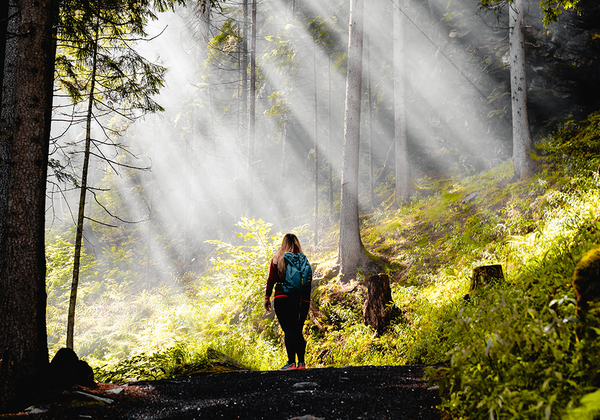 【双语灵修】恩典的新约THE NEW COVENANT OF GRACE