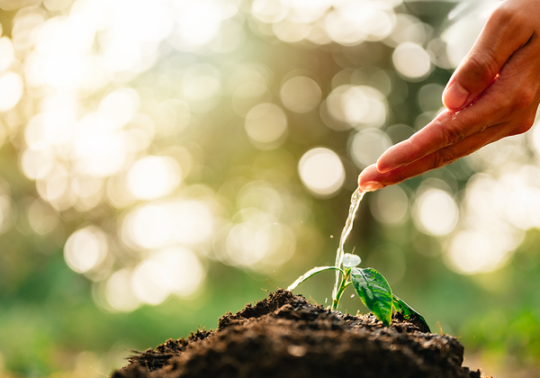 【双语灵修】新视角的力量THE POWER OF A NEW PERSPECTIVE