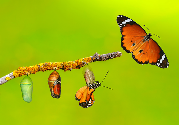 【双语灵修】上帝在我们身上做成的改变GOD’S TRANSFORMING WORK IN US