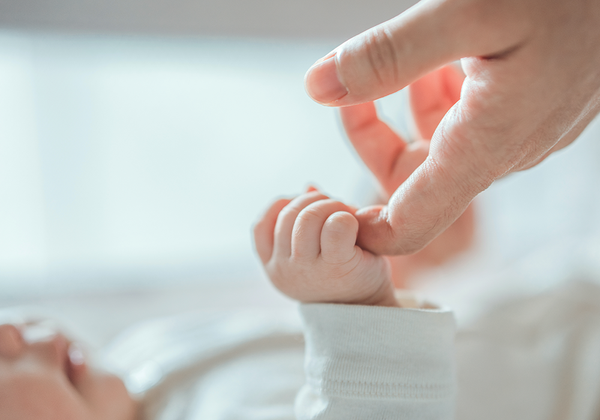 【双语灵修】在基督里新造的人NEW CREATION IN CHRIST