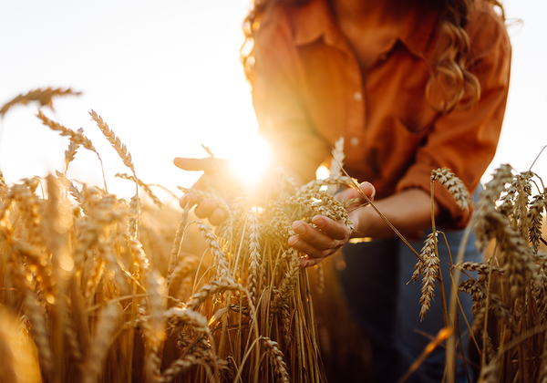 【双语灵修】旅途中的新喜乐NEW JOY IN THE JOURNEY