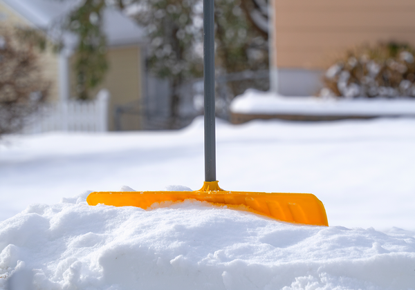 【双语灵修】邻里之间THE NEIGHBORHOOD
