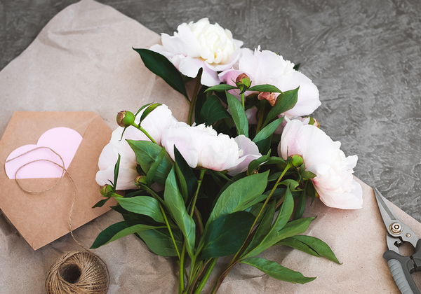 【双语灵修】精彩星期二TERRIFIC TUESDAY