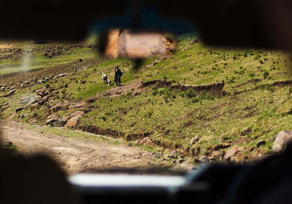 【双语灵修】从皇宫到旷野FROM THE PALACE TO THE WILDERNESS