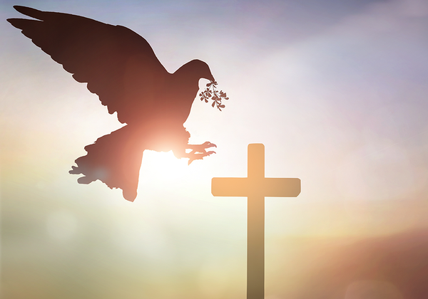 【双语灵修】需要一位中保NEED FOR A MEDIATOR