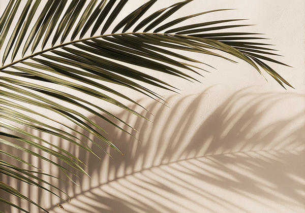 【双语灵修】一位温柔的君王A GENTLE KING