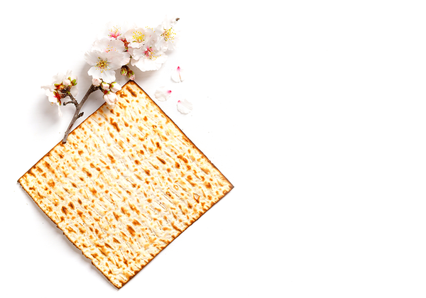 【双语灵修】古老的故事变成新的故事AN OLD STORY BECOMES A NEW STORY