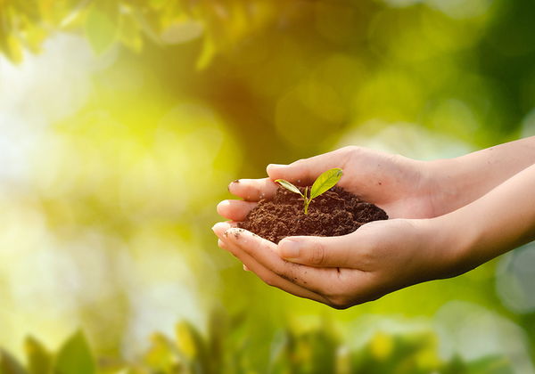 【双语灵修】奇普：新造的人CHIP: A NEW CREATION