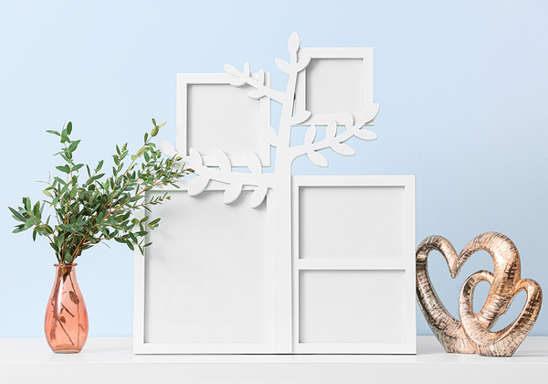 【双语灵修】一张全家福A FAMILY PICTURE