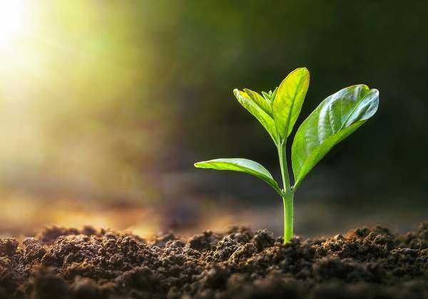 【双语灵修】吕底亚：另一个新造的人LYDIA, ANOTHER NEW CREATION