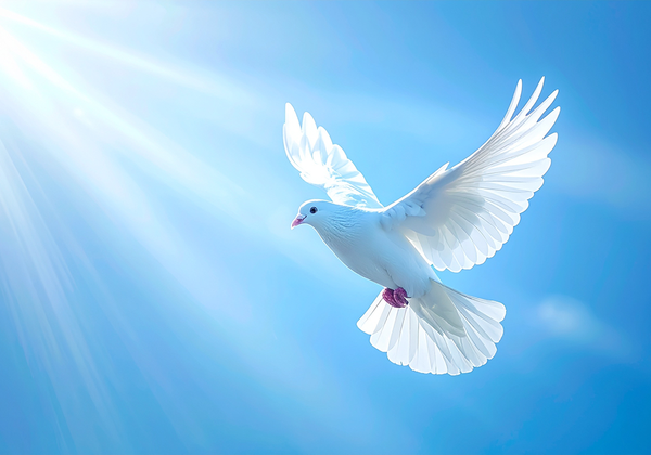 【双语灵修】要用悟性也要用灵性BOTH MIND AND SPIRIT