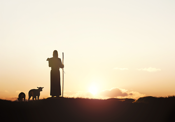 【双语灵修】耶和华是我们的牧者THE LORD OUR SHEPHERD