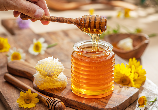 【双语灵修】吃蜂蜜EATING HONEY