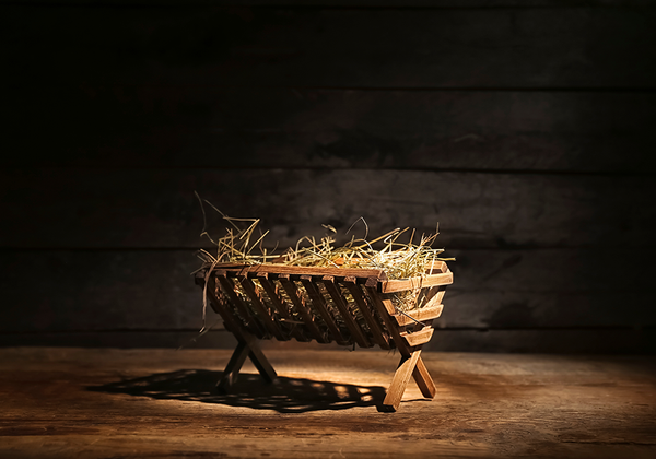 【双语灵修】世界与耶稣的话互相回应！THE WORLD RESONATES WITH JESUS!