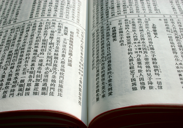 【双语灵修】道THE WORD
